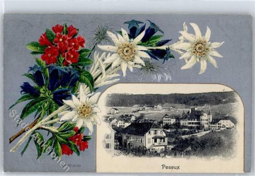 2034 Peseux - 1912 Prägekarte Blumen Teilansicht Erhaltung: Eckknick