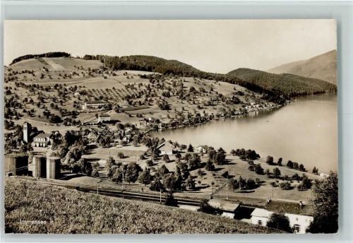 6405 Immensee 1934 Foto AK Vue generale AK