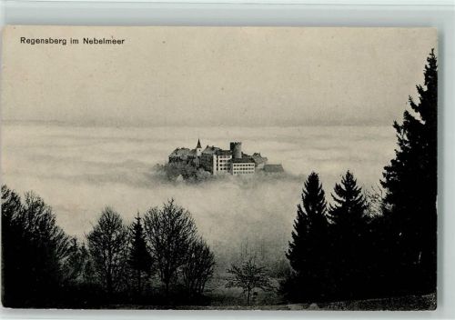 8158 Regensberg - im Nebelmeer
