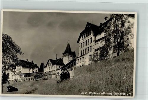 8881 Walenstadtberg Foto AK Sanatorium