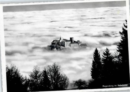 8158 Regensberg - Schloss im Nebelmeer