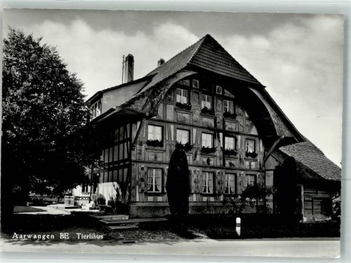 4912 Aarwangen 1975 Foto AK Tierlihus
