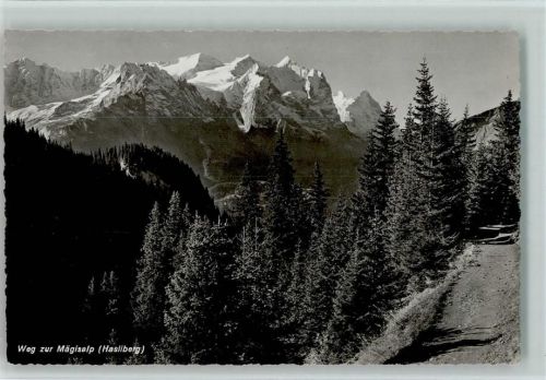 6083 Hasliberg Hohfluh - Weg z. Mägisalp