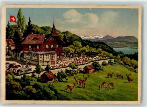 8700 Küsnacht ZH Künstlerkarte Kurhaus Gasthaus Waldhaus Johannesburg Rotwild