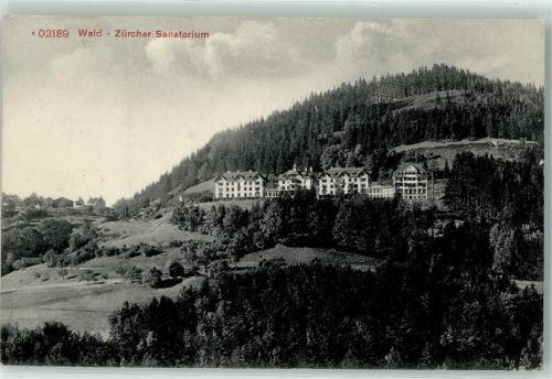 8636 Wald ZH 1910 - Zürcher Sanatorium