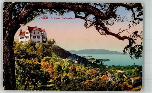 8268 Salenstein 1924 Gebrauchsspuren Schloss