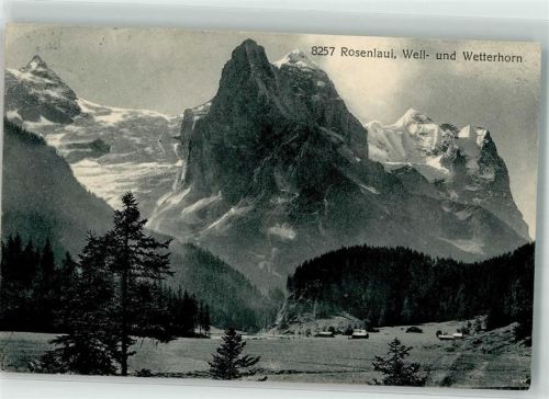 3860 Rosenlaui 1913 - Wellhorn Wetterhorn Wehrliverlag