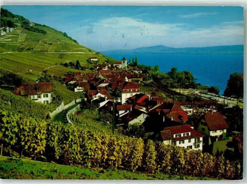 2513 Twann - Douanne Bielersee Reben