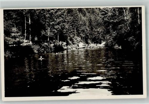 9044 Wald AR 1934 Foto AK Ort handschriftlich Schwimmbad Waldsee