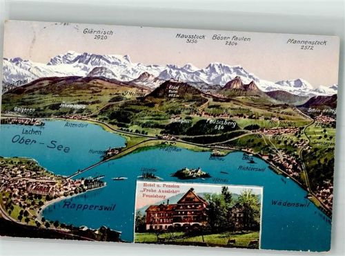 8835 Feusisberg 1915 Foto AK Hotel Pension Frohe Aussicht Obersee Vogelschau