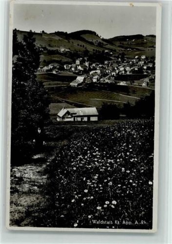 9104 Waldstatt - Panoramaansicht Narzissen