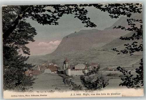 1860 Aigle 1908 Foto AK Burg
