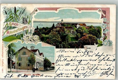 8596 Münsterlingen 1902 Foto AK Pension Schelling