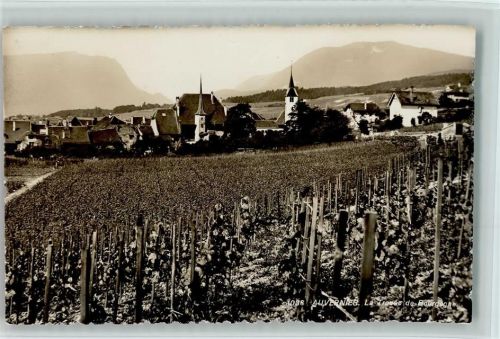 2012 Auvernier - Ortsansicht Weinberge