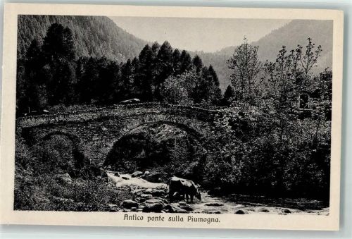 Piumogna Alm FOTO KEINE AK Antico ponte