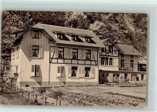 8487 Rämismühle 1920