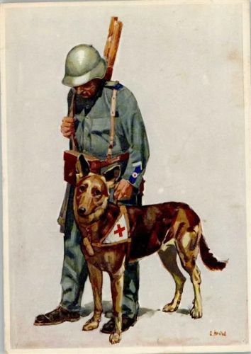 Bundesfeier 1937 Rotes Kreuz Bundesfeier Ganzsachen Schweiz 1937