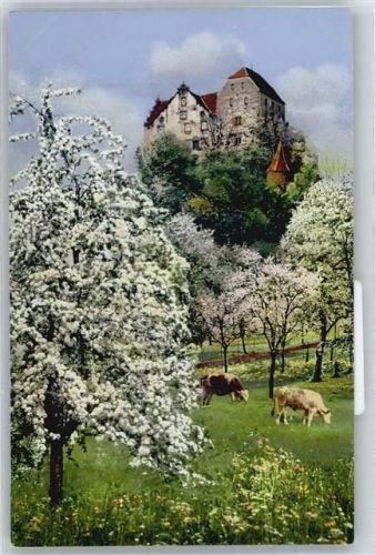 5103 Wildegg - Schloß