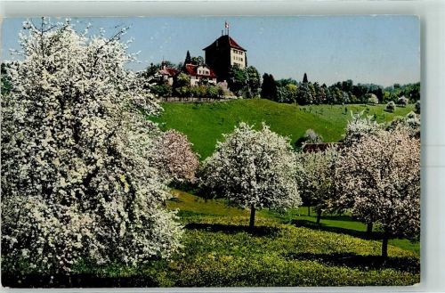 6284 Gelfingen 1916 - Schloss Heidegg