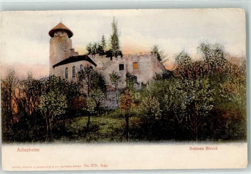 4144 Arlesheim 1911 - Schloss Birseck