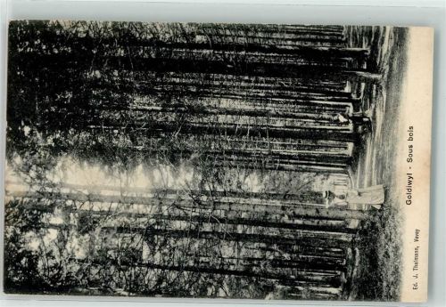 3624 Goldiwil Thun - Sous bois