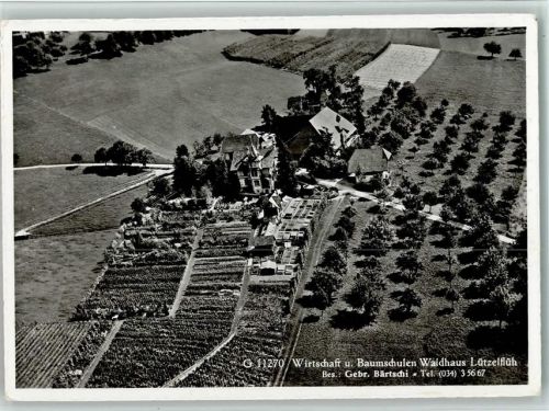 3432 Lützelflüh-Goldbach 1956 - Wirtschaft und Baumschulen Waldhaus-Lützelflüh, gute Erhaltung AK