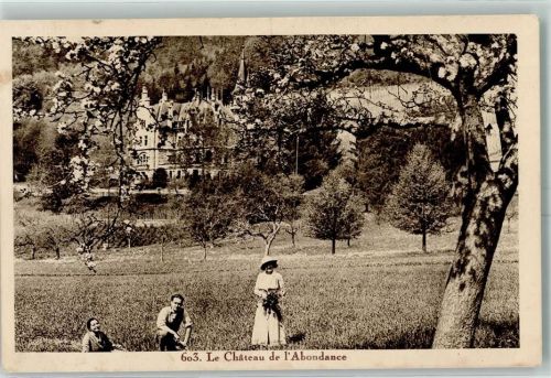 1236 Cartigny - Chateau de l Abondance