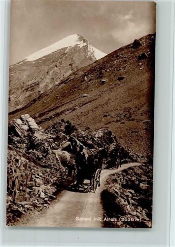 Altels - Pferdewagen