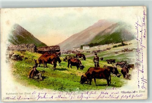 3961 Zinal 1904 - Kühe auf der Weide