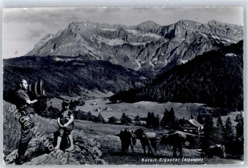 Schwarzenberg - Alpsegen, Kühe, Hirte, Berge, Kurort Eigental