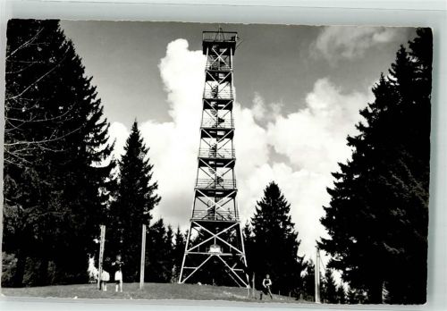 8340 Hinwil Foto AK Bachtel Kulm Aussichtsturm