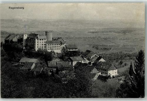 8158 Regensberg 1914 - Schloss