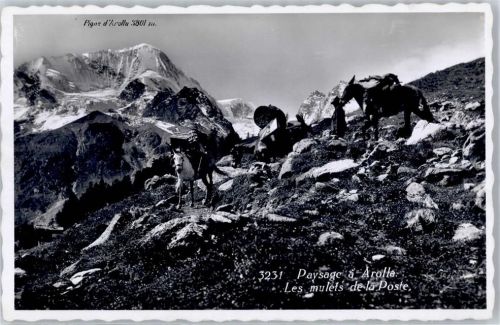 1986 Arolla - Maultiere für Post AKU1