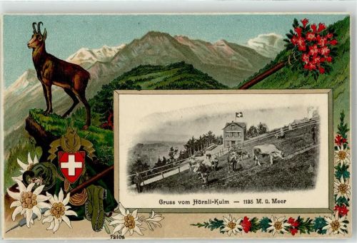 8496 Steg im Tösstal Prägedruck Gemse Wappen Hotel Hörnli-Kulm