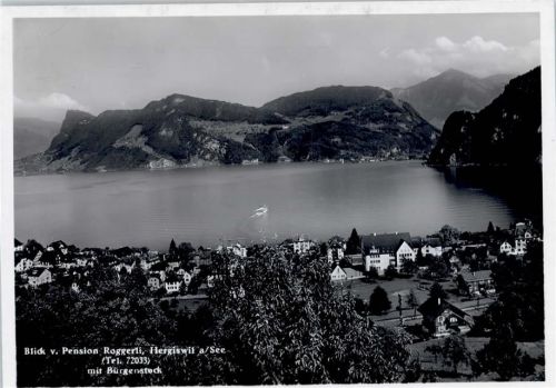 6052 Hergiswil NW - Gesamtansicht, Seepartie