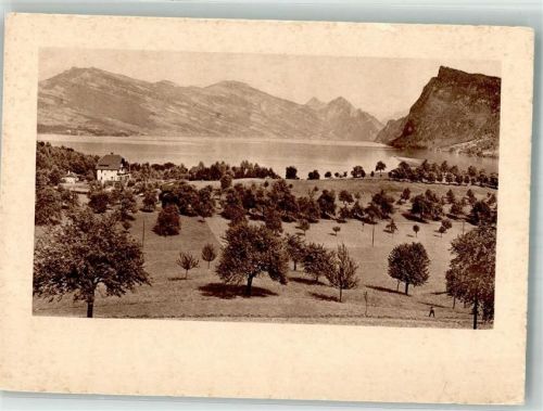 6410 Goldau Foto AK Rigi Bürgenstock