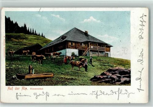 3762 Erlenbach im Simmental - Auf der Alp Kühe Simmenthal