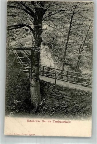 7317 Valens Foto AK Naturbrücke Taminaschlucht