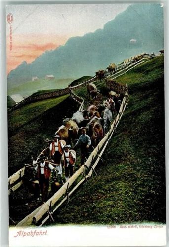 Alpabfahrt Rinder Tracht Kuhglocken