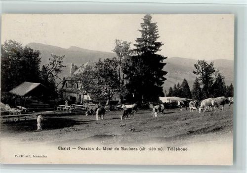 1446 Baulmes 1906 - Chalet - Pension du Mont de Baulmes, gute Erhaltung AK
