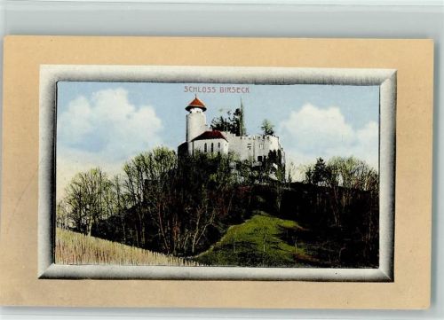 4144 Arlesheim - Schloss Birseck Passepartout