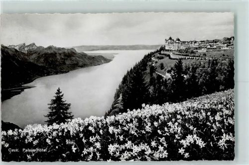 1824 Caux - Palace-Hotel