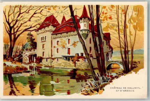 5705 Hallwil Lithographie Schloss