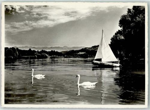 9423 Altenrhein - Segelschiff Schwäne
