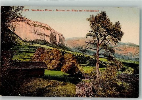 7018 Flims Waldhaus 1909 Foto AK