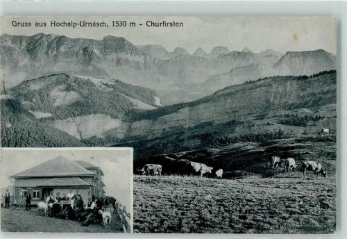 Churfirsten - Hochalp-Urnäsch Kühe