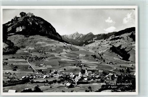 9655 Stein SG - Goggeien