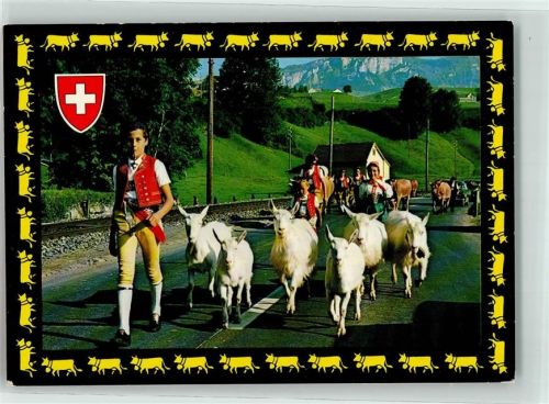9056 Gais - Alpabfahrt Ziegen Kühe