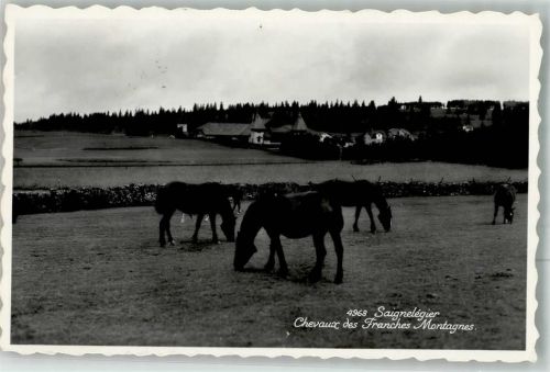 2350 Saignelégier 1954 Foto AK