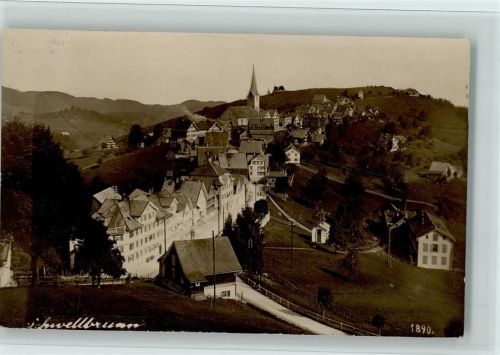 9103 Schwellbrunn 1919 Foto AK Teilansicht, gute Erhaltung AK